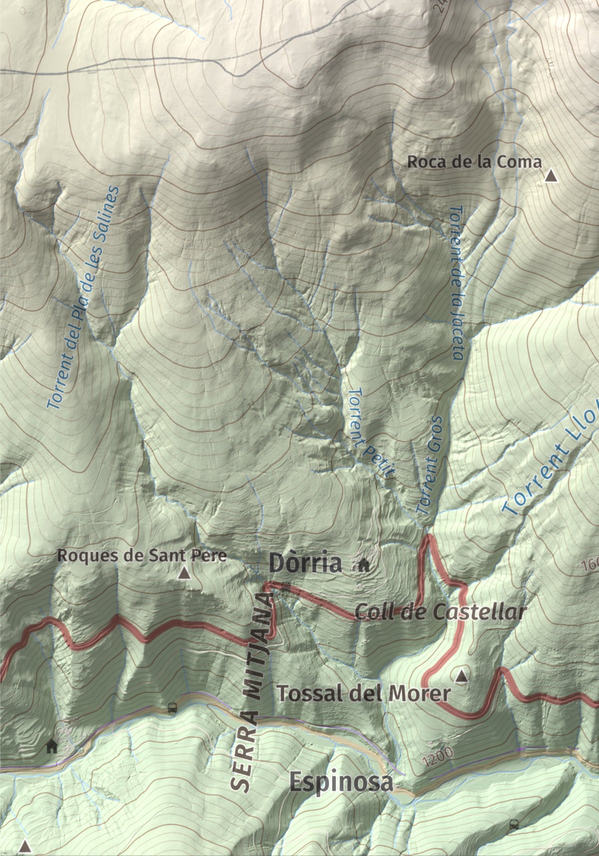 Mapa de relieve de Puig de Dòrria, 2547 m, Cerdanya Nord · Ripollès, lámina 100 Cims de Trobart. Detalle de la zona inferior izquierda. 21 × 30 cm.