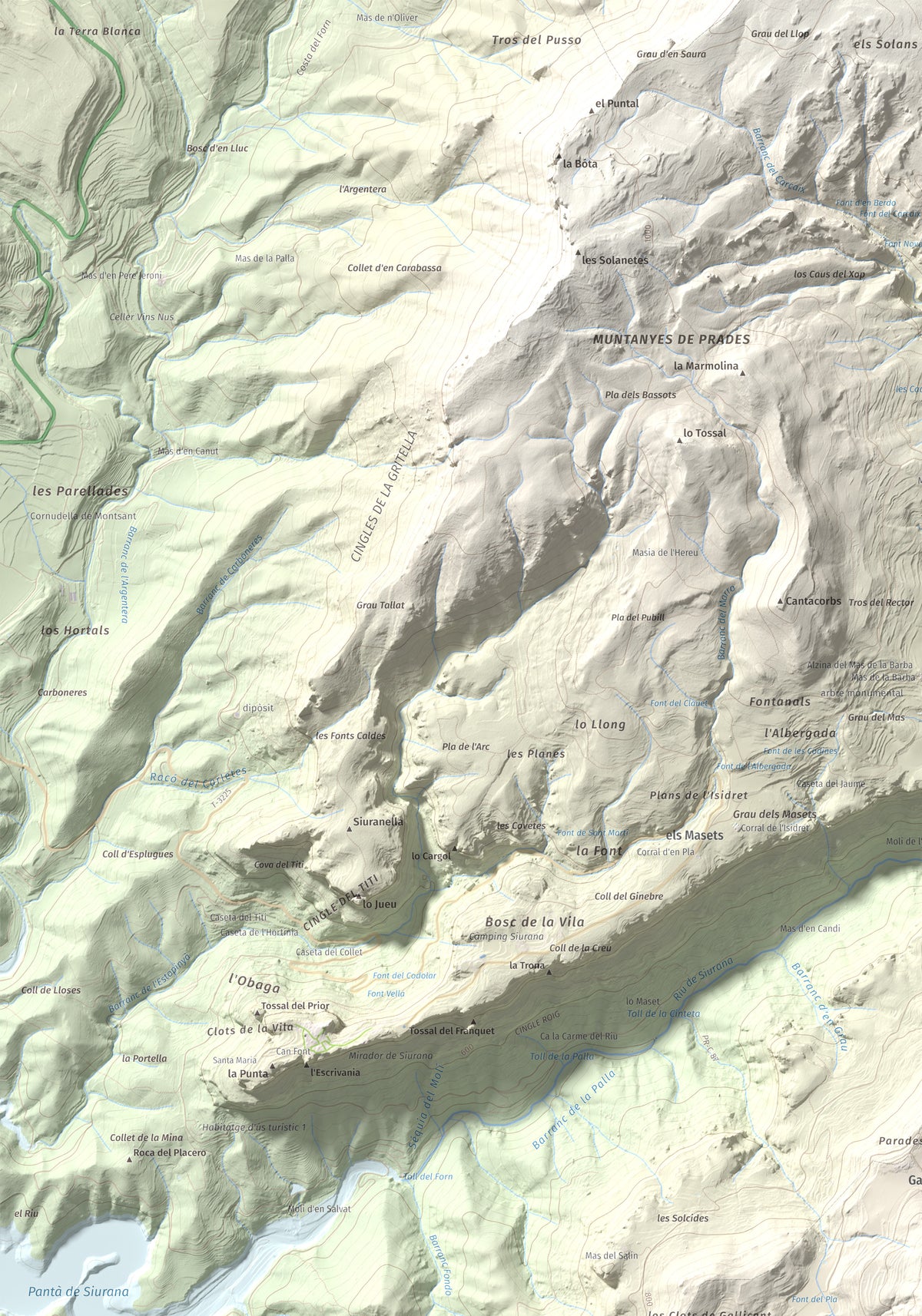 Mapa de relieve de Puig de Gallicant, 1010 m, Baix Camp, lámina 100 Cims de Trobart. Detalle de la zona superior izquierda. 70 × 100 cm.