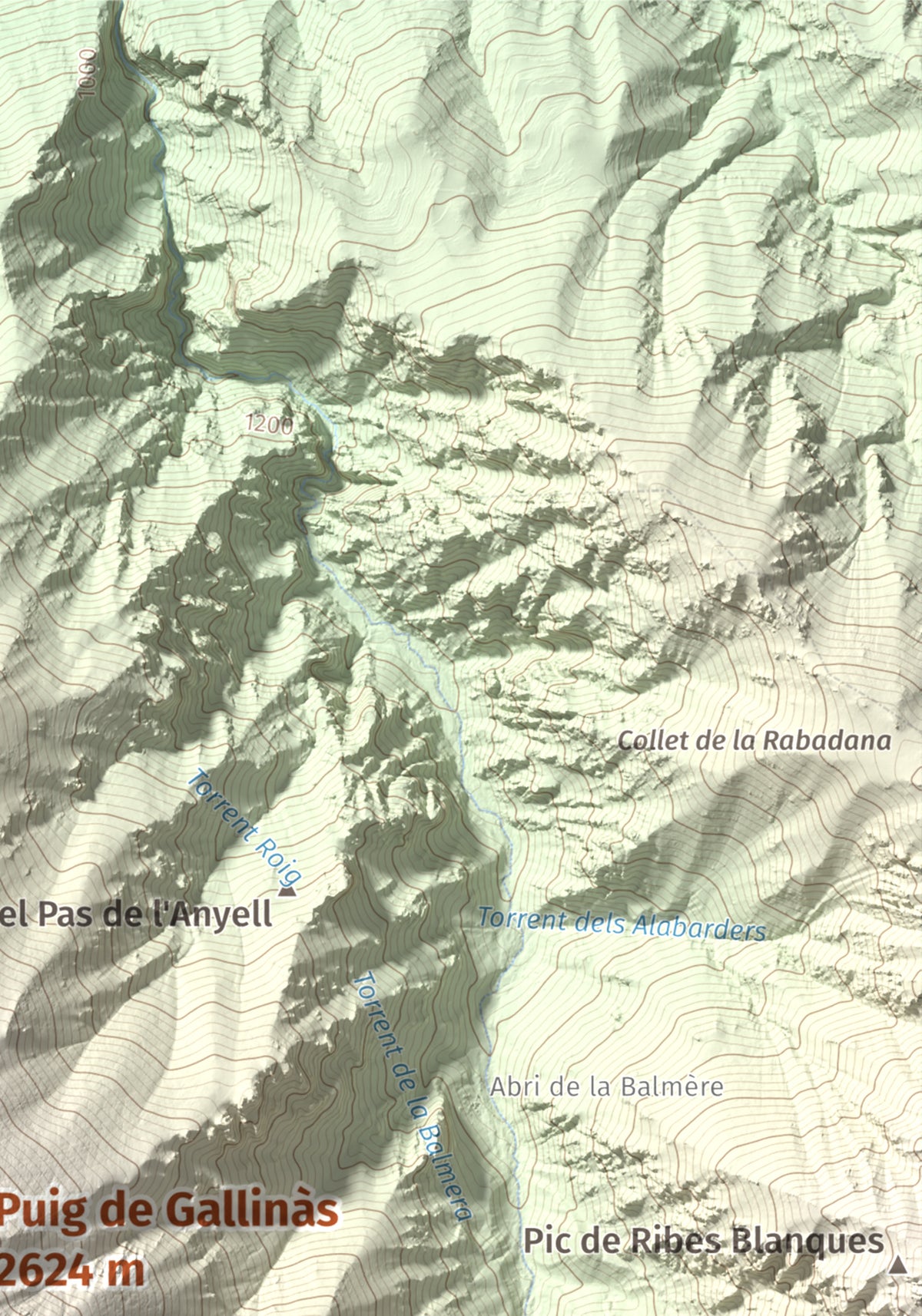Mapa de relieve de Puig de Gallinàs, 2624 m, Conflent, lámina 100 Cims de Trobart. Detalle de la zona superior derecha. 21 × 30 cm.