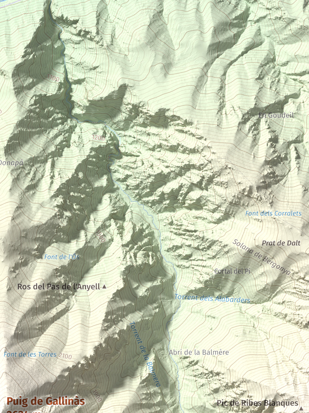 Mapa de relieve de Puig de Gallinàs, 2624 m, Conflent, lámina 100 Cims de Trobart. Detalle de la zona superior derecha. 30 × 40 cm.