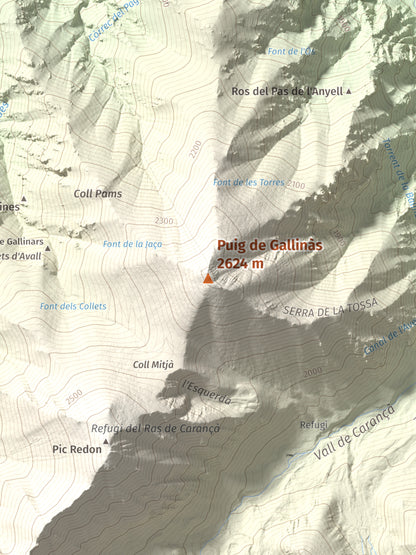 Mapa de relieve de Puig de Gallinàs, 2624 m, Conflent, lámina 100 Cims de Trobart. Detalle de la zona central. 30 × 40 cm.