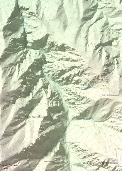 Mapa de relieve de Puig de Gallinàs, 2624 m, Conflent, lámina 100 Cims de Trobart. Detalle de la zona superior derecha. 50 × 70 cm.