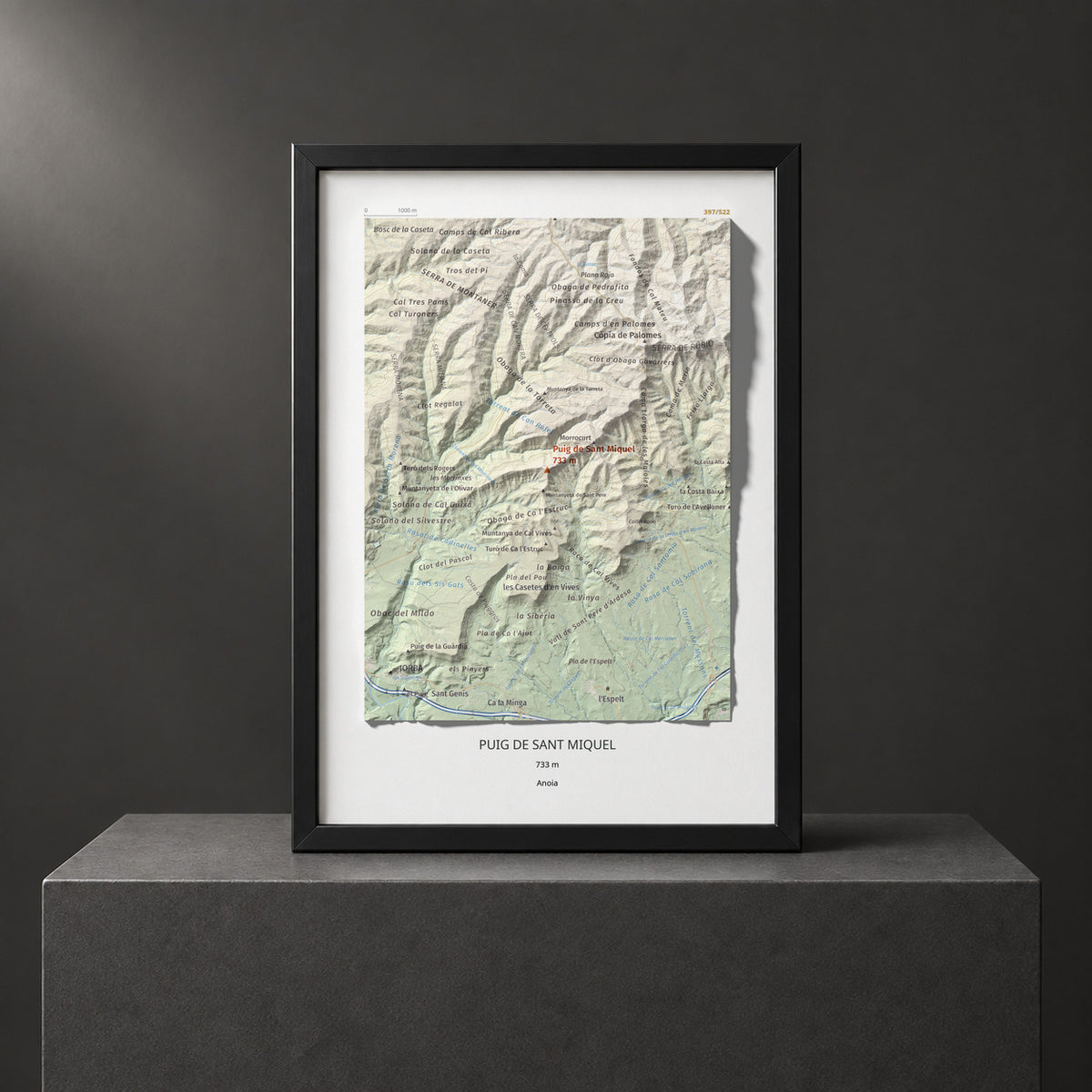 PUIG DE SANT MIQUEL - 397/522 - Col·lecció artística 100 cims