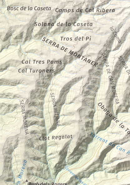 Mapa de relieve de Puig de Sant Miquel, 733 m, Anoia, lámina 100 Cims de Trobart. Detalle de la zona superior izquierda. 21 × 30 cm.