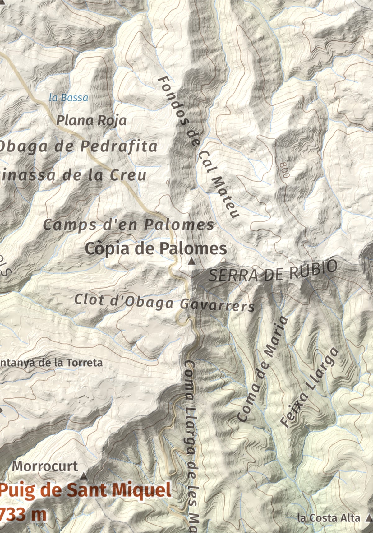 Mapa de relieve de Puig de Sant Miquel, 733 m, Anoia, lámina 100 Cims de Trobart. Detalle de la zona superior derecha. 21 × 30 cm.