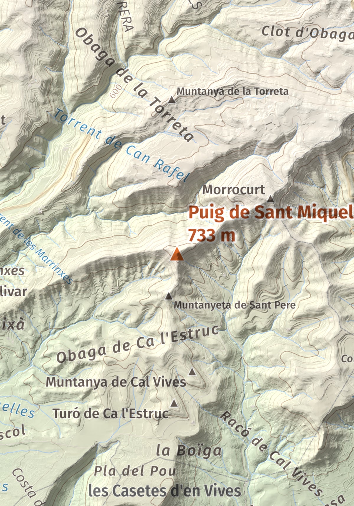 Mapa de relieve de Puig de Sant Miquel, 733 m, Anoia, lámina 100 Cims de Trobart. Detalle de la zona central. 21 × 30 cm.