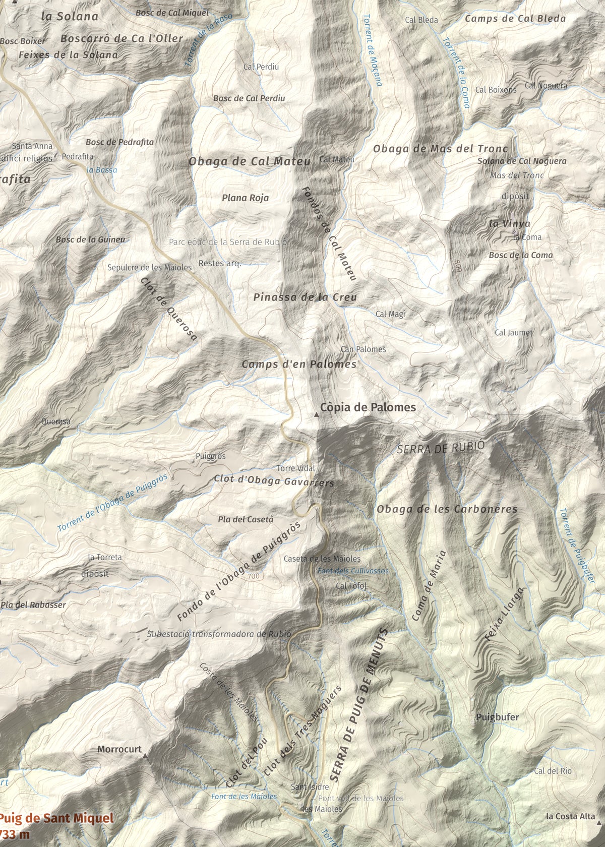 Mapa de relieve de Puig de Sant Miquel, 733 m, Anoia, lámina 100 Cims de Trobart. Detalle de la zona superior derecha. 50 × 70 cm.