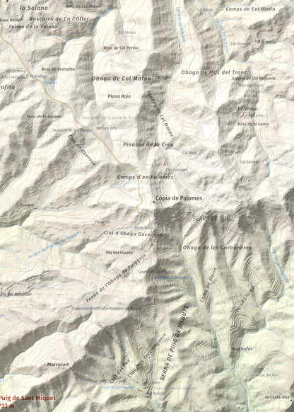 Mapa de relieve de Puig de Sant Miquel, 733 m, Anoia, lámina 100 Cims de Trobart. Detalle de la zona superior derecha. 50 × 70 cm.