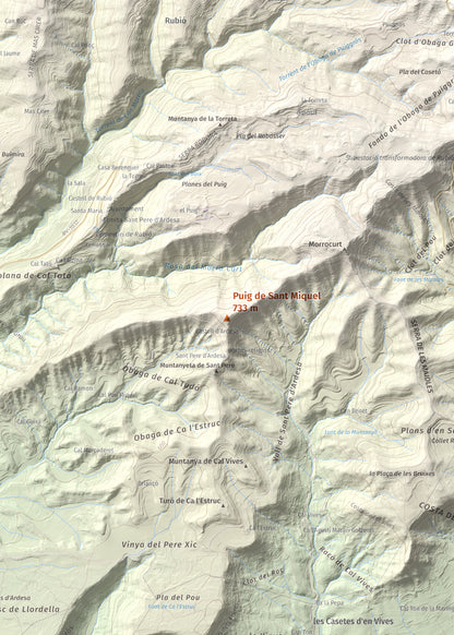 Mapa de relieve de Puig de Sant Miquel, 733 m, Anoia, lámina 100 Cims de Trobart. Detalle de la zona central. 50 × 70 cm.