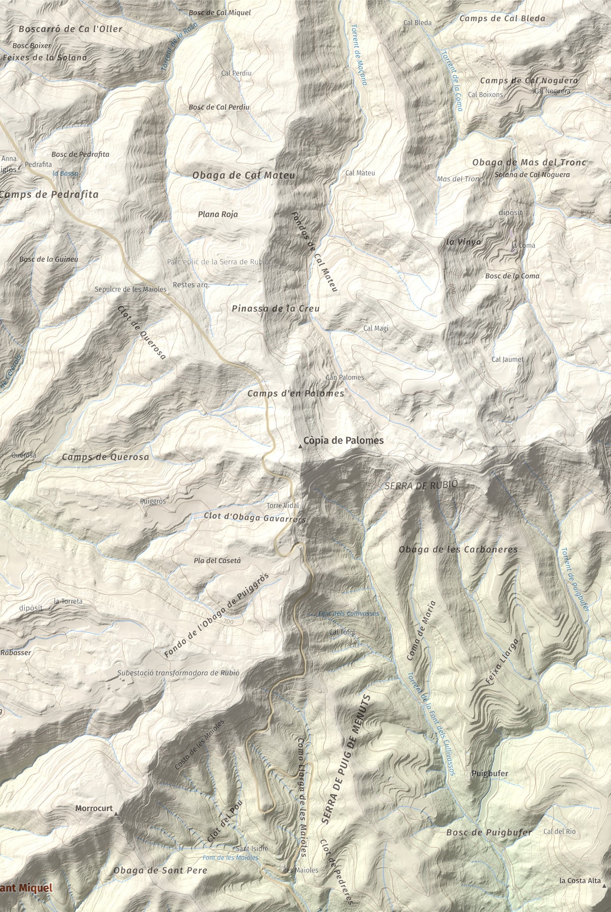 Mapa de relieve de Puig de Sant Miquel, 733 m, Anoia, lámina 100 Cims de Trobart. Detalle de la zona superior derecha. 61 × 91 cm.