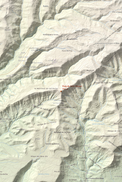 Mapa de relieve de Puig de Sant Miquel, 733 m, Anoia, lámina 100 Cims de Trobart. Detalle de la zona central. 61 × 91 cm.
