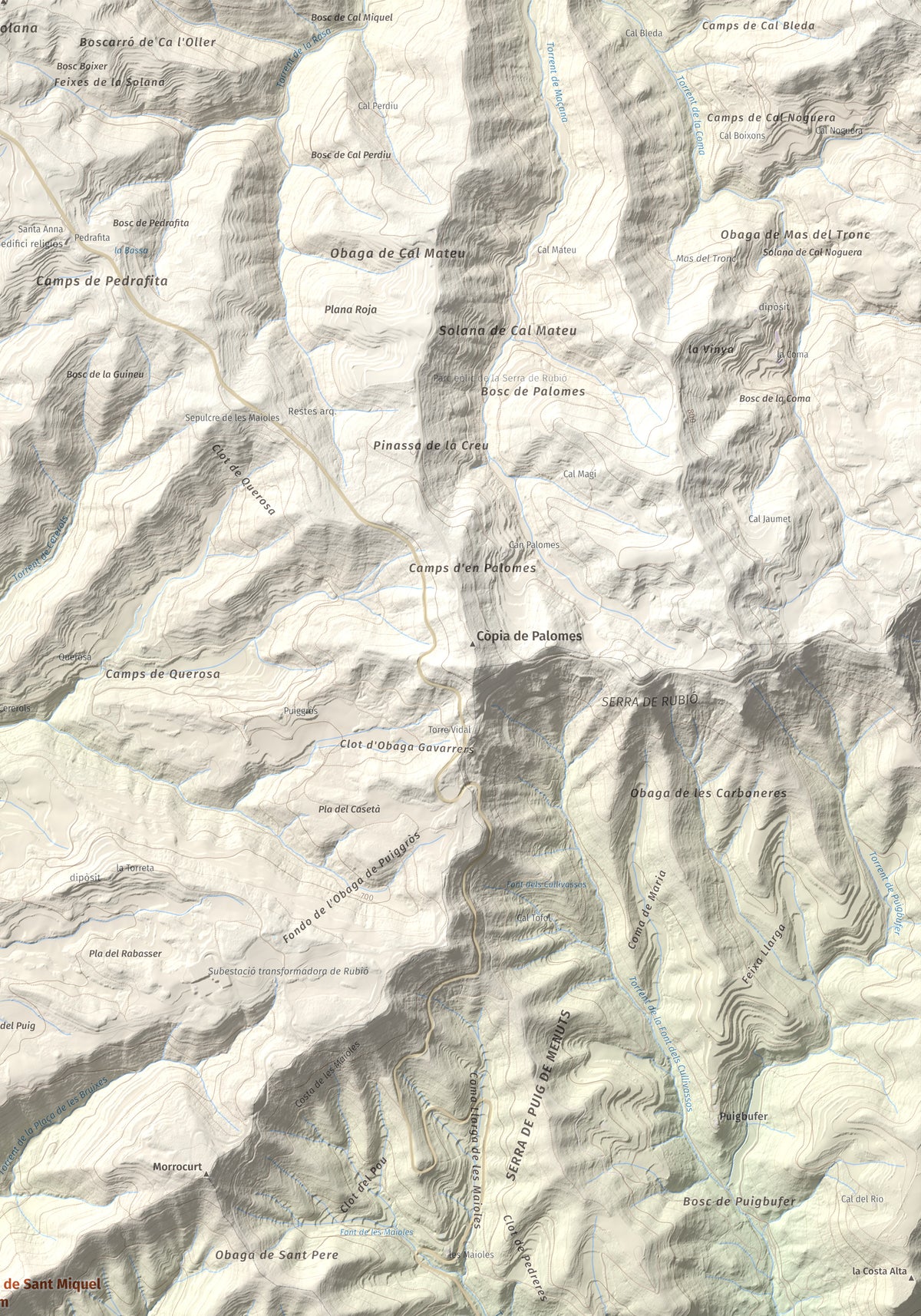Mapa de relieve de Puig de Sant Miquel, 733 m, Anoia, lámina 100 Cims de Trobart. Detalle de la zona superior derecha. 70 × 100 cm.