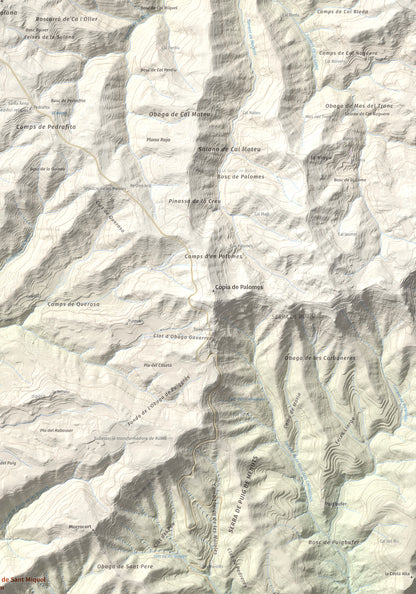 Mapa de relieve de Puig de Sant Miquel, 733 m, Anoia, lámina 100 Cims de Trobart. Detalle de la zona superior derecha. 70 × 100 cm.