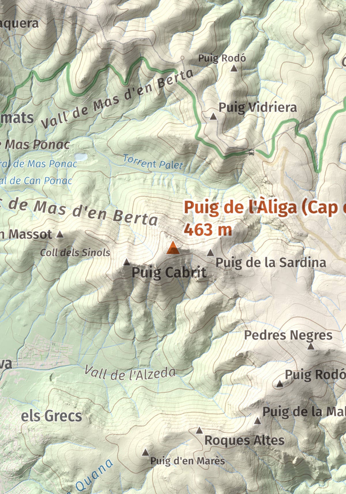 Mapa topogràfic del relleu: Puig de l'Àliga (Cap de Creus), 463 m. Detall de la zona central. 21 × 30 cm.