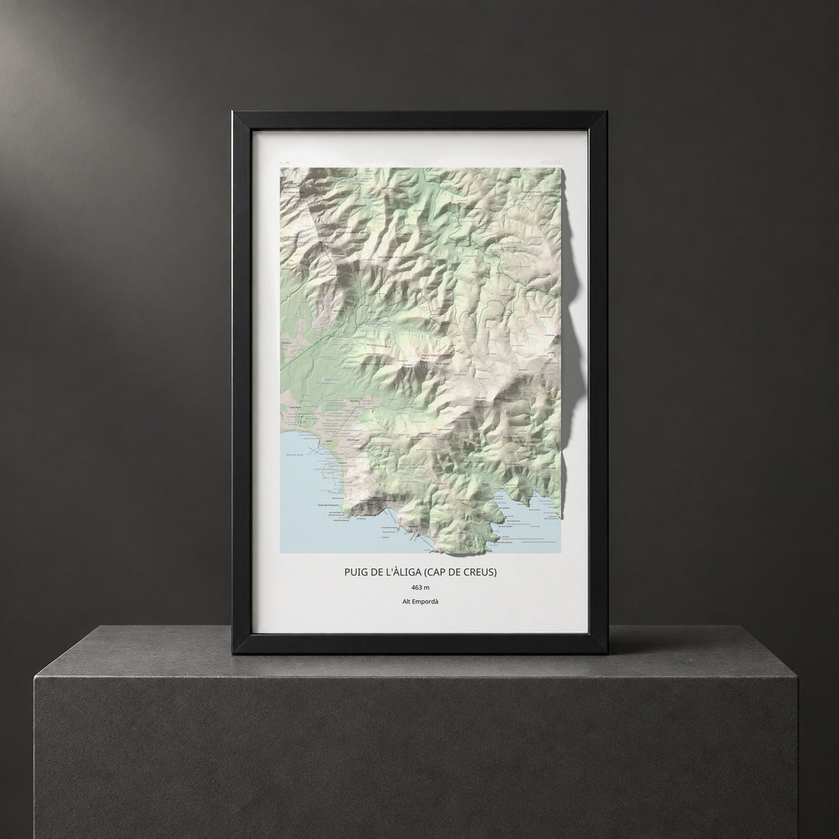 Mapa topogràfic del relleu: Puig de l'Àliga (Cap de Creus), 463 m. Presentació emmarcada. 61 × 91 cm.