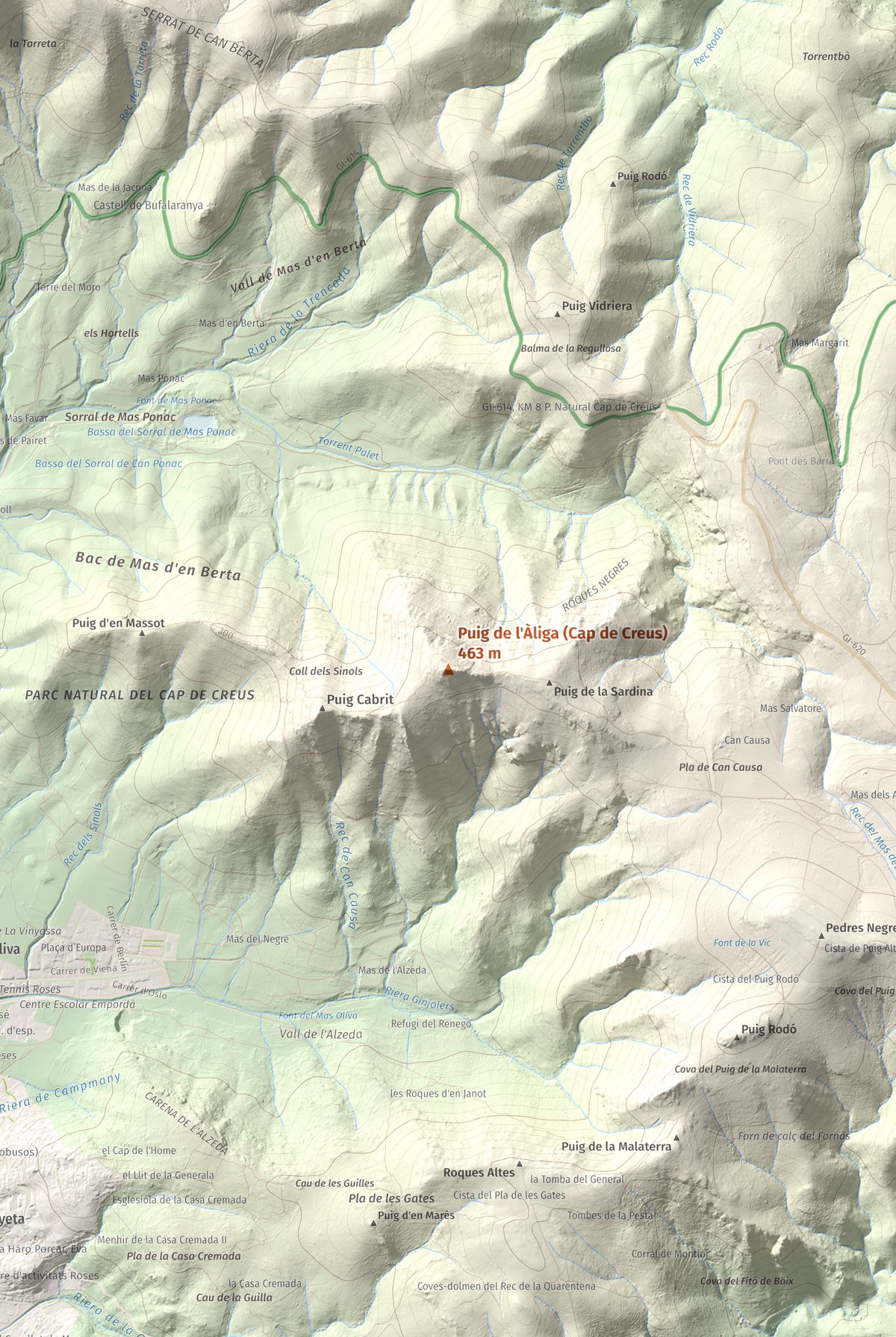 Mapa topogràfic del relleu: Puig de l'Àliga (Cap de Creus), 463 m. Detall de la zona central. 61 × 91 cm.