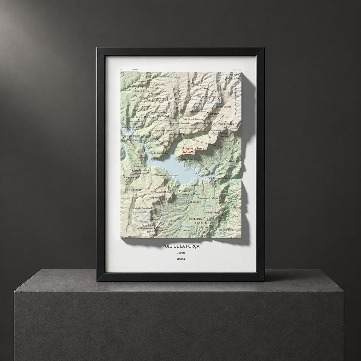 PUIG DE LA FORÇA - 395/522 - Col·lecció artística 100 cims