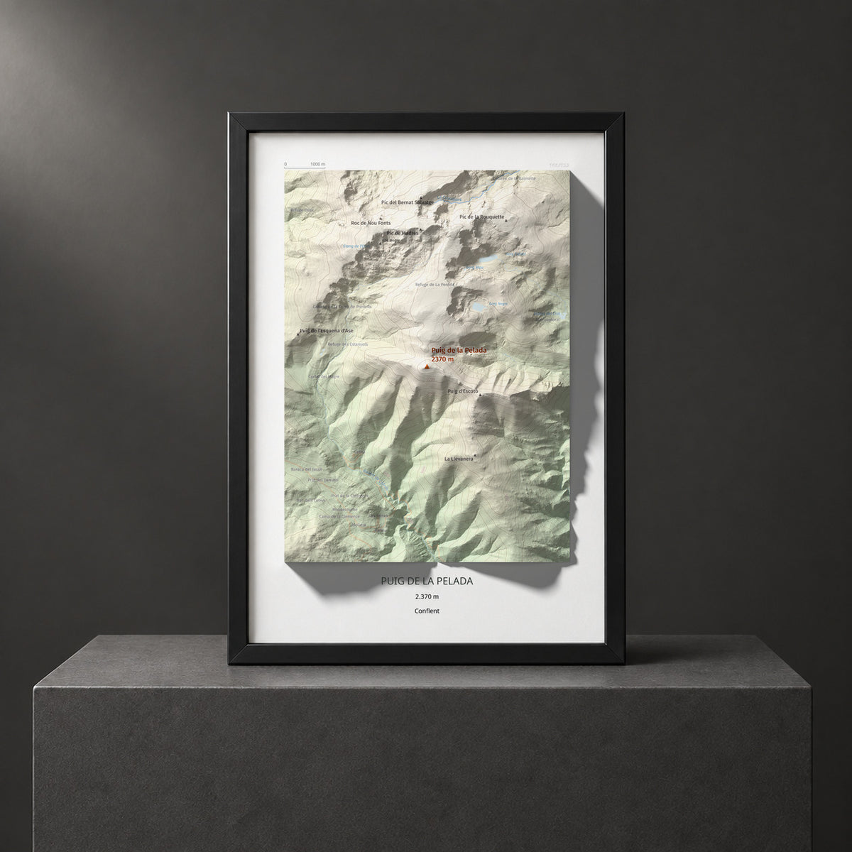 PUIG DE LA PELADA - 168/522 - Col·lecció artística 100 cims