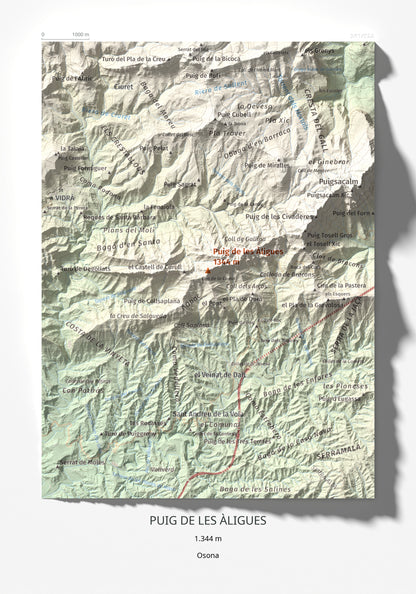 Mapa de relieve de Puig de les Àligues, 1344 m, Osona, lámina 100 Cims de Trobart 21 × 30 cm.
