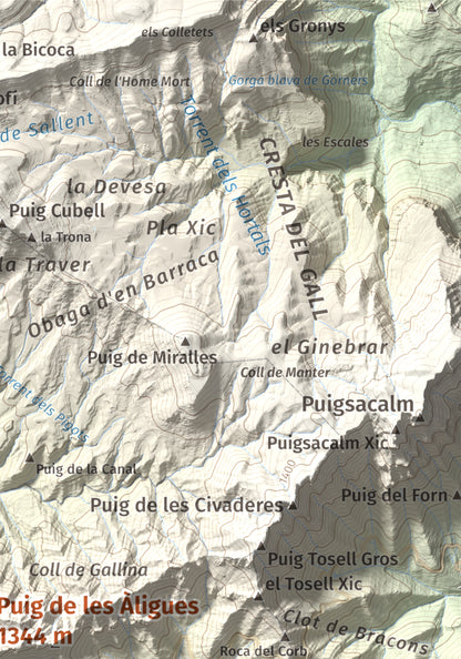 Mapa de relieve de Puig de les Àligues, 1344 m, Osona, lámina 100 Cims de Trobart. Detalle de la zona superior derecha. 21 × 30 cm.
