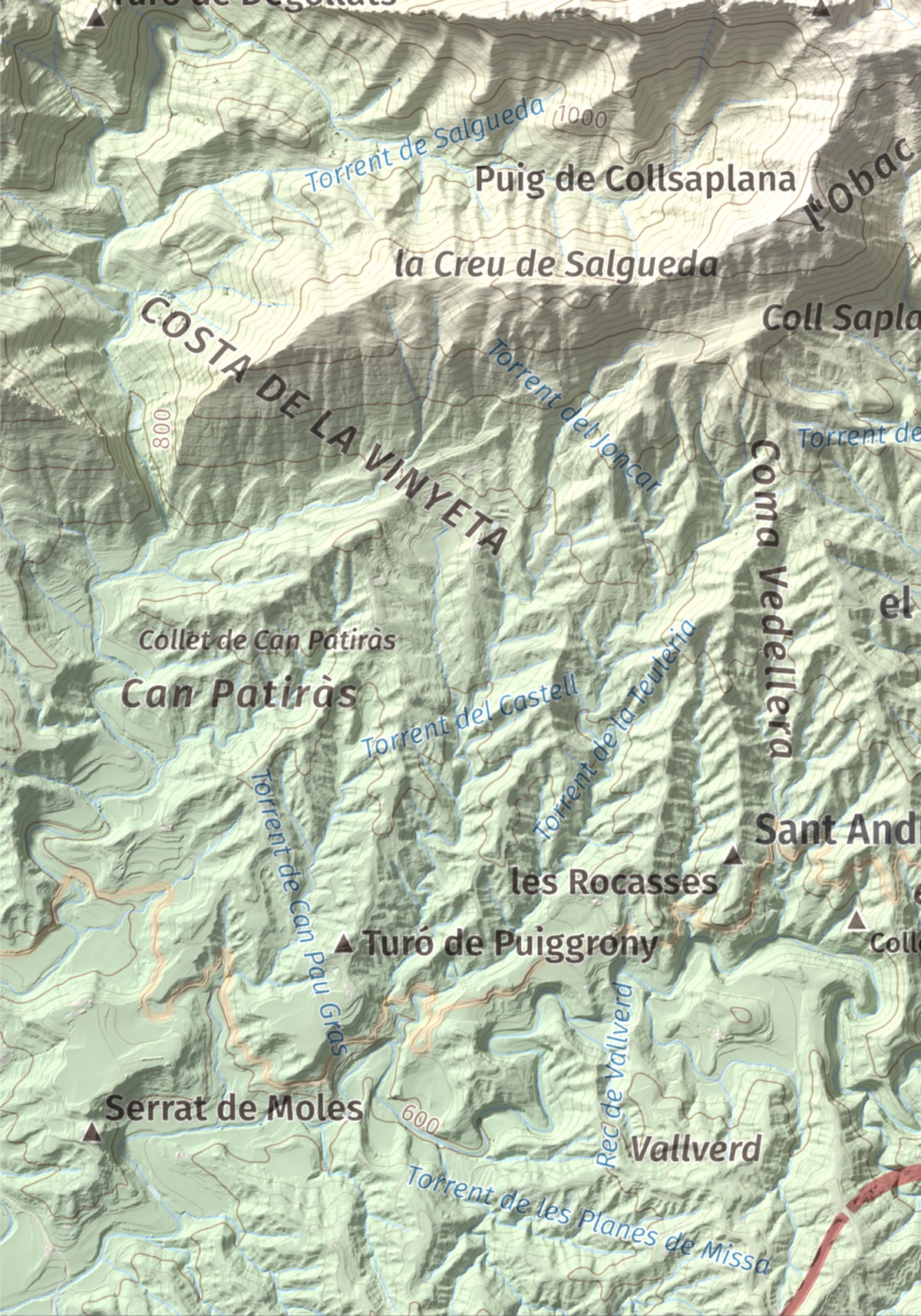 Mapa de relieve de Puig de les Àligues, 1344 m, Osona, lámina 100 Cims de Trobart. Detalle de la zona inferior izquierda. 21 × 30 cm.