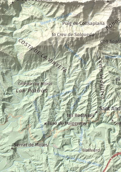 Mapa de relieve de Puig de les Àligues, 1344 m, Osona, lámina 100 Cims de Trobart. Detalle de la zona inferior izquierda. 21 × 30 cm.