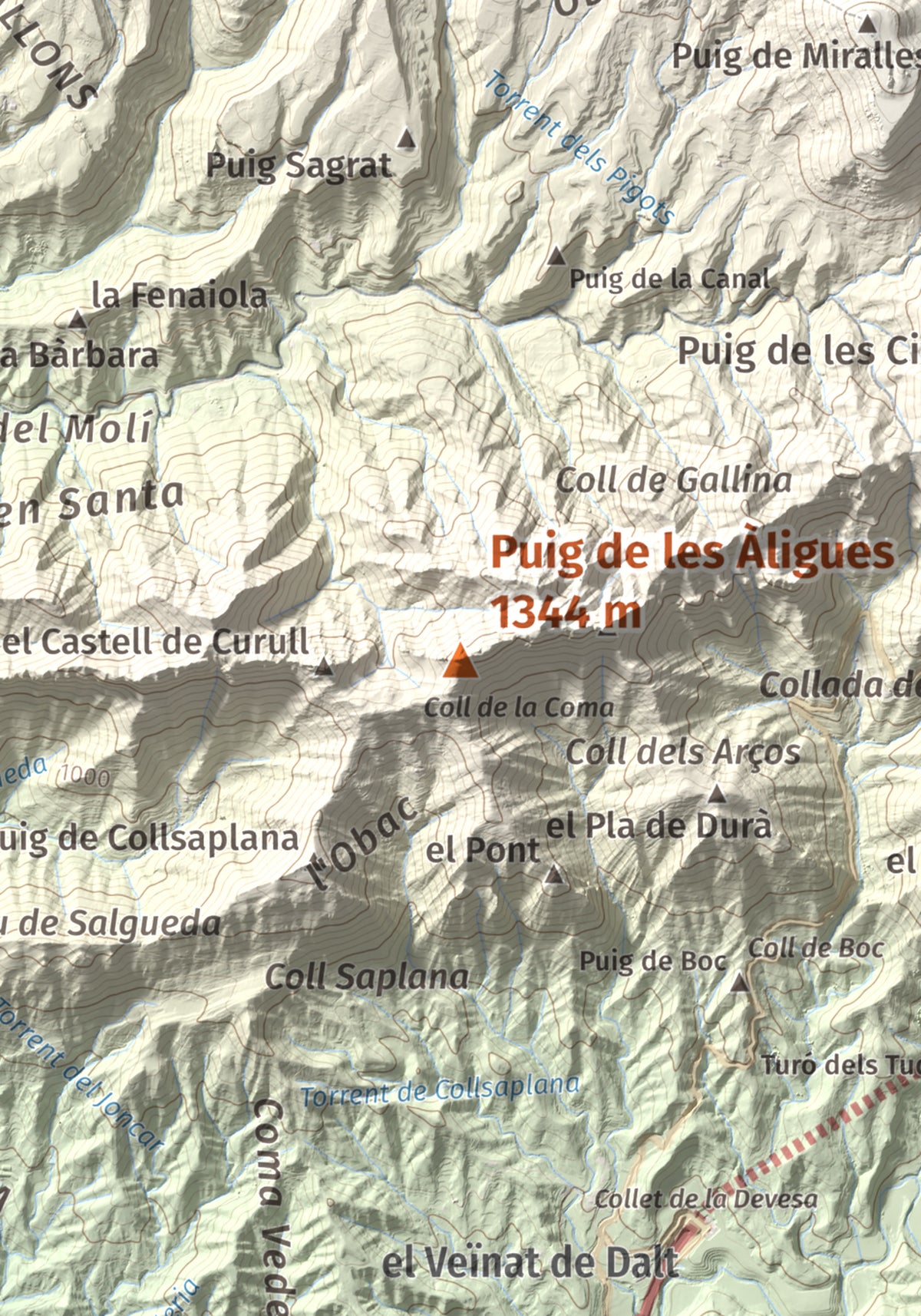 Mapa de relieve de Puig de les Àligues, 1344 m, Osona, lámina 100 Cims de Trobart. Detalle de la zona central. 21 × 30 cm.