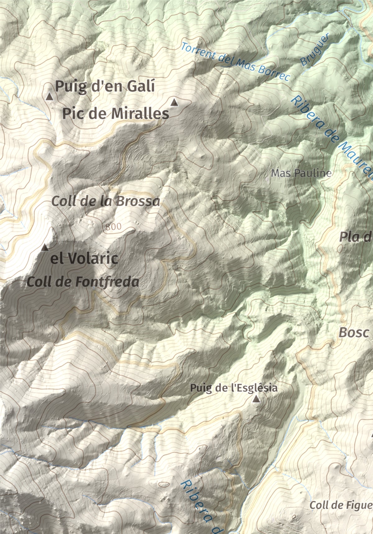 Mapa de relieve de Puig dels Pruners, 832 m, Alt Empordà · Vallespir, lámina 100 Cims de Trobart. Detalle de la zona superior izquierda. 21 × 30 cm.