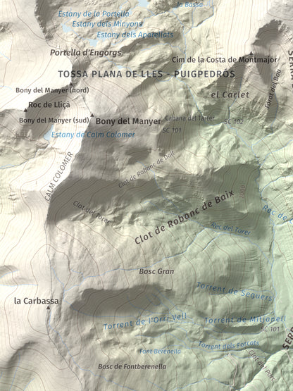 Mapa de relieve de Puigpedrós, 2915 m, Cerdanya · Cerdanya Nord, lámina 100 Cims de Trobart. Detalle de la zona inferior izquierda. 30 × 40 cm.