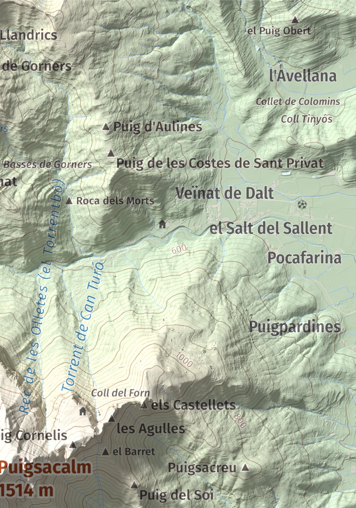 Mapa de relieve de Puigsacalm, 1514 m, Garrotxa, lámina 100 Cims de Trobart. Detalle de la zona superior derecha. 21 × 30 cm.