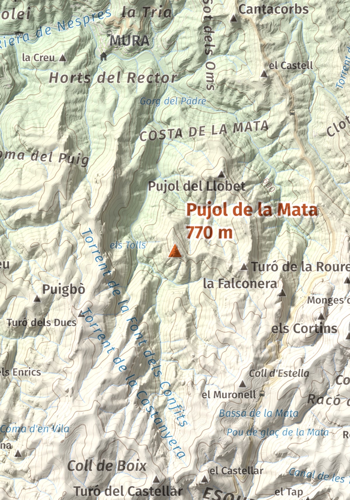 Mapa de relieve de Pujol de la Mata, 770 m, Bages, lámina 100 Cims de Trobart. Detalle de la zona central. 21 × 30 cm.