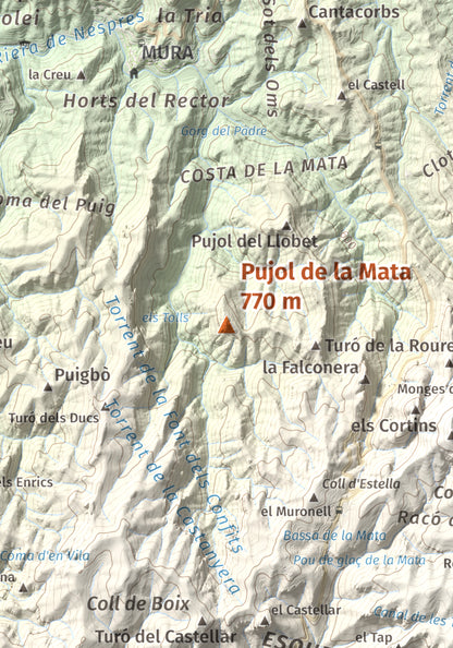 Mapa de relieve de Pujol de la Mata, 770 m, Bages, lámina 100 Cims de Trobart. Detalle de la zona central. 21 × 30 cm.