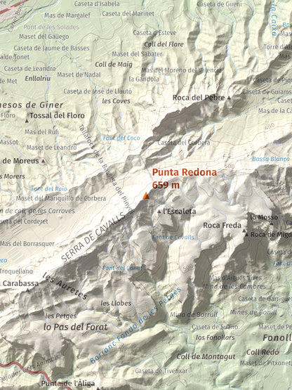 Mapa topográfico del relieve: Punta Redona, 659 m. Detalle de la zona central. 30 × 40 cm.