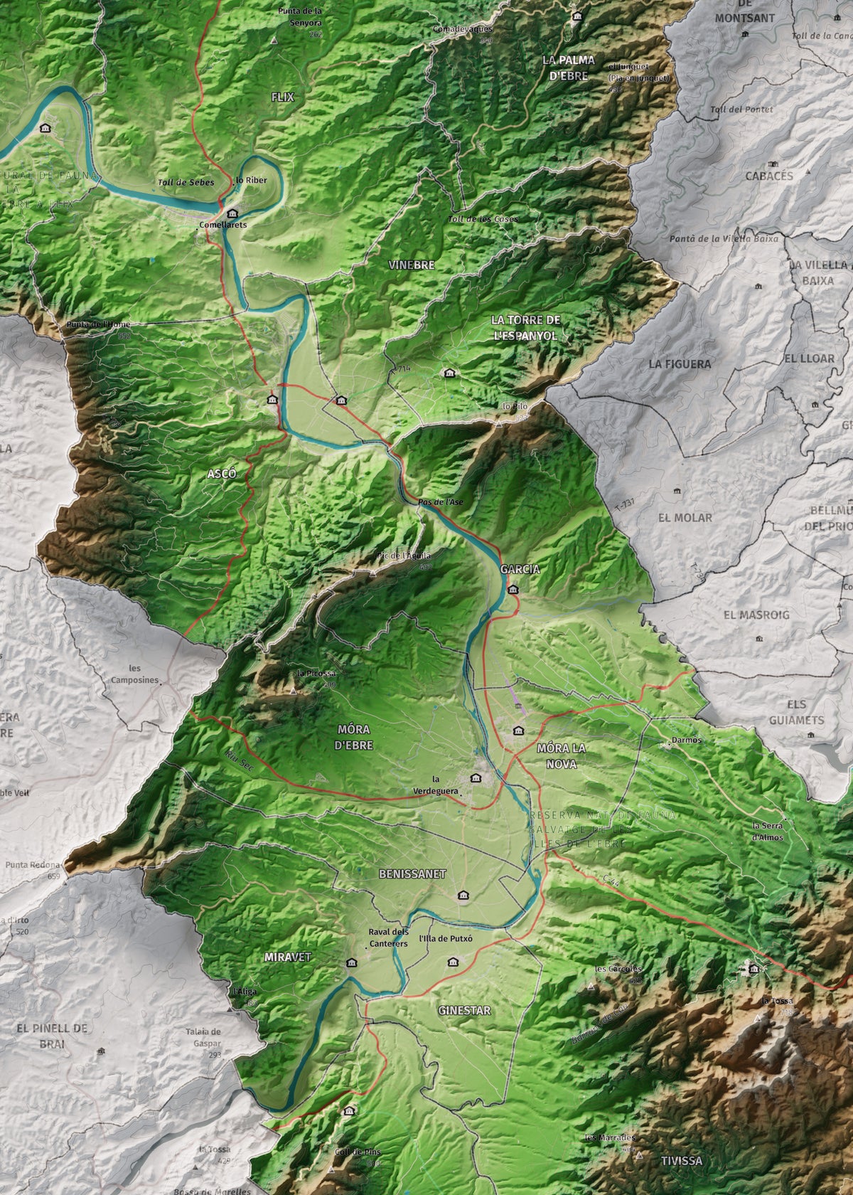 Mapa de relieve de la Ribera d’Ebre, con el territorio en color y el entorno en blanco. Detalle de la zona central. 50 × 70 cm. Estilo Clásico.