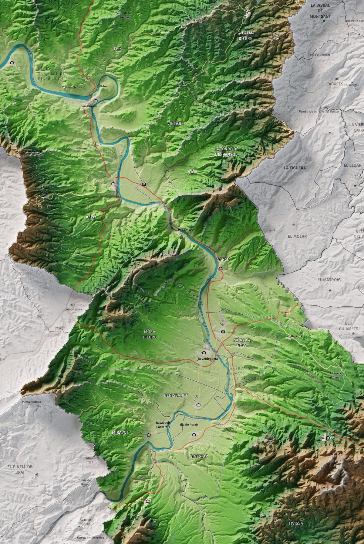 Mapa de relieve de la Ribera d’Ebre, con el territorio en color y el entorno en blanco. Detalle de la zona central. 61 × 91 cm. Estilo Clásico.
