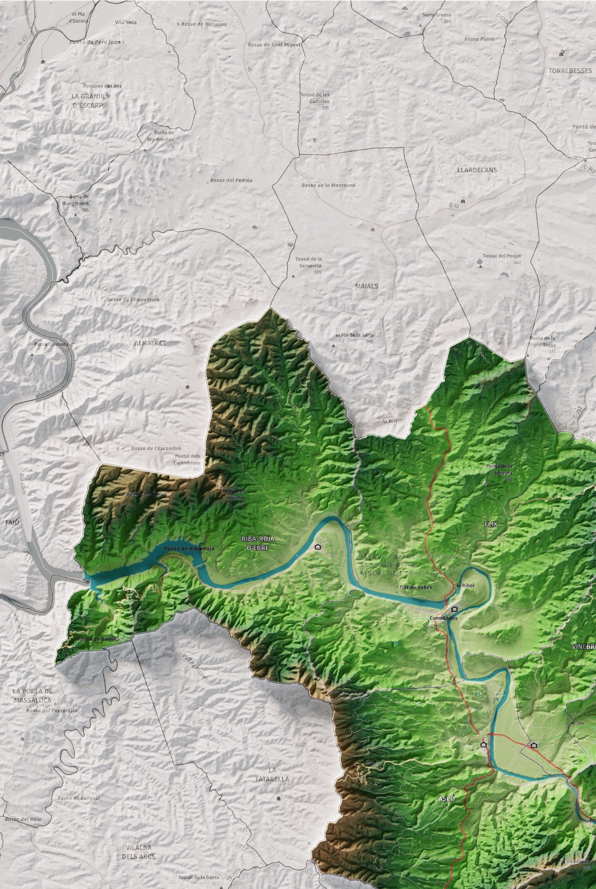 Mapa de relieve de la Ribera d’Ebre, con el territorio en color y el entorno en blanco. Detalle de la zona superior izquierda. 61 × 91 cm. Estilo Clásico.