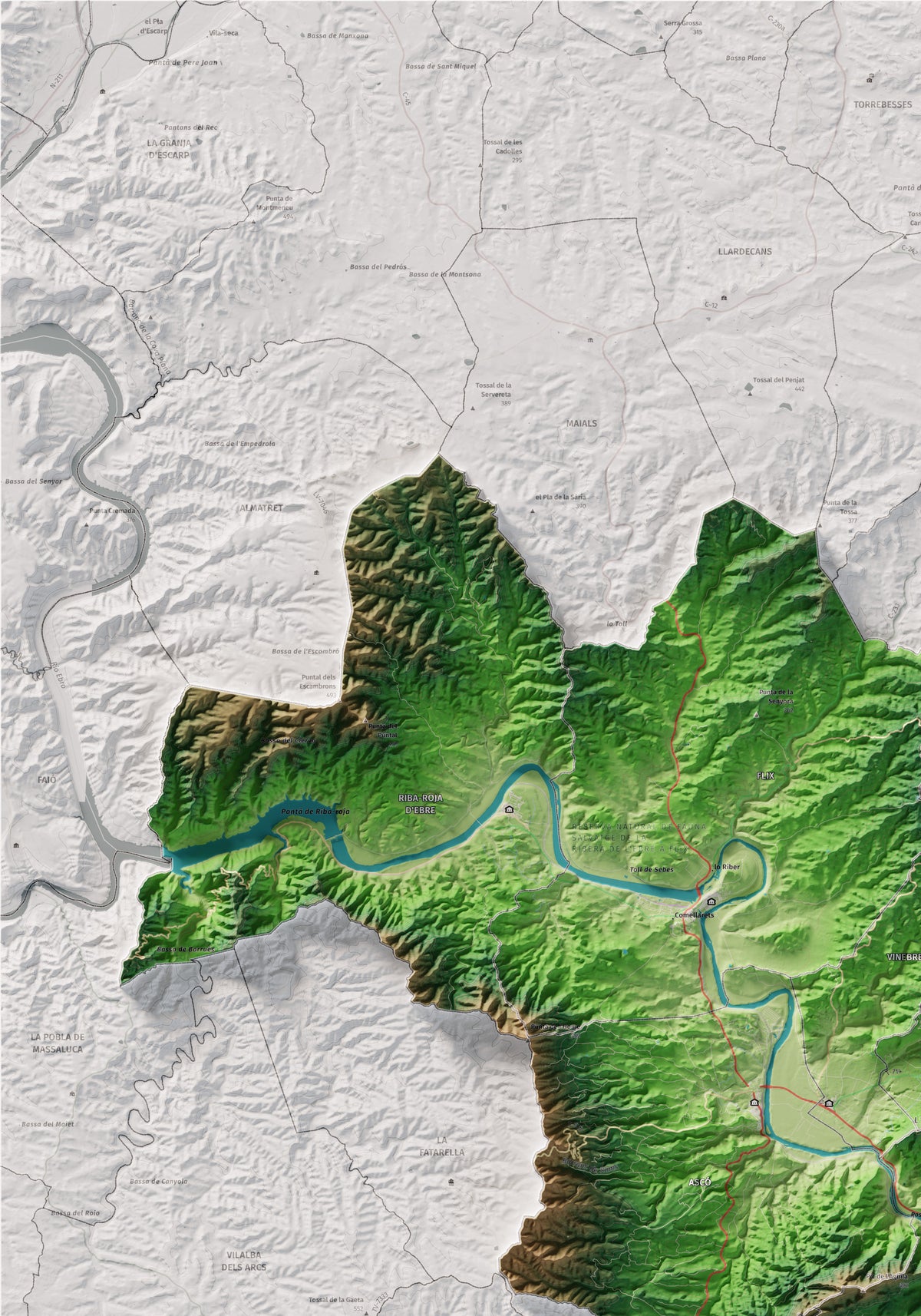 Mapa de relieve de la Ribera d’Ebre, con el territorio en color y el entorno en blanco. Detalle de la zona superior izquierda. 70 × 100 cm. Estilo Clásico.