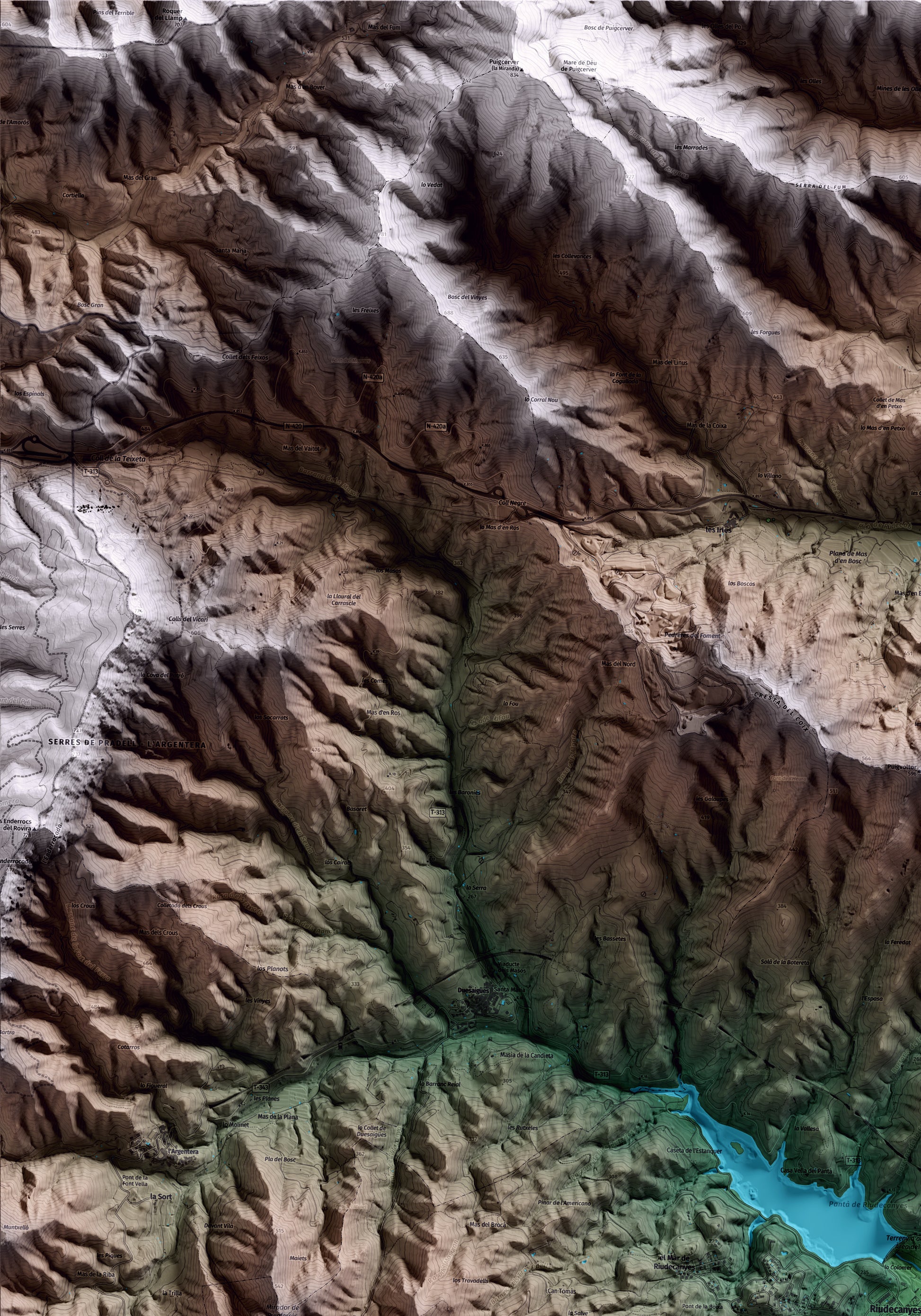 Mapa artístico del relieve de Riudecanyes, al Baix Camp, con 15 km de entorno y base topográfica ICGC. Detalle de la zona superior izquierda.