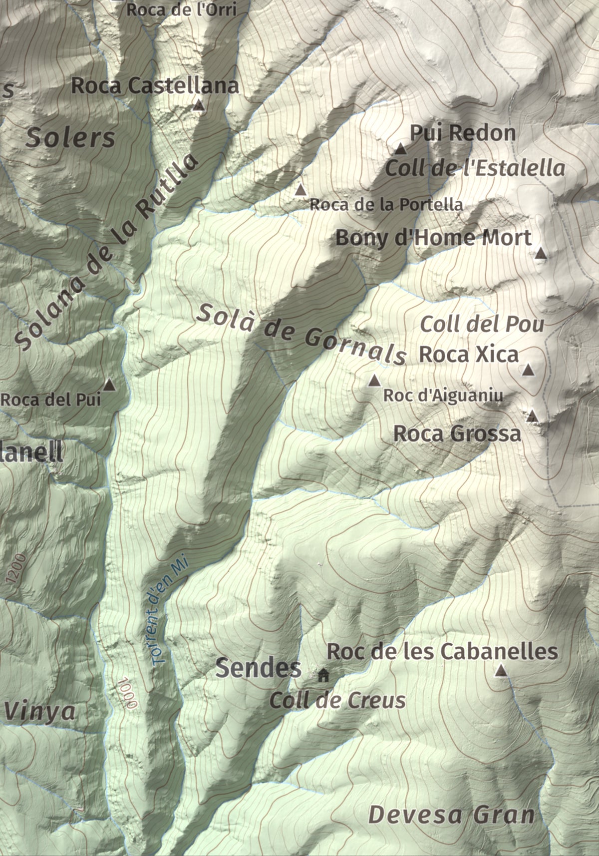 Mapa de relieve de Roc Roi, 2020 m, Alt Urgell, lámina 100 Cims de Trobart. Detalle de la zona inferior derecha. 21 × 30 cm.