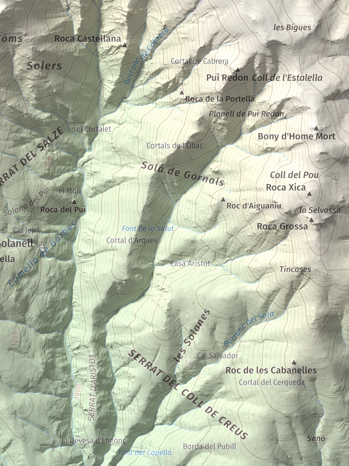 Mapa de relieve de Roc Roi, 2020 m, Alt Urgell, lámina 100 Cims de Trobart. Detalle de la zona inferior derecha. 30 × 40 cm.