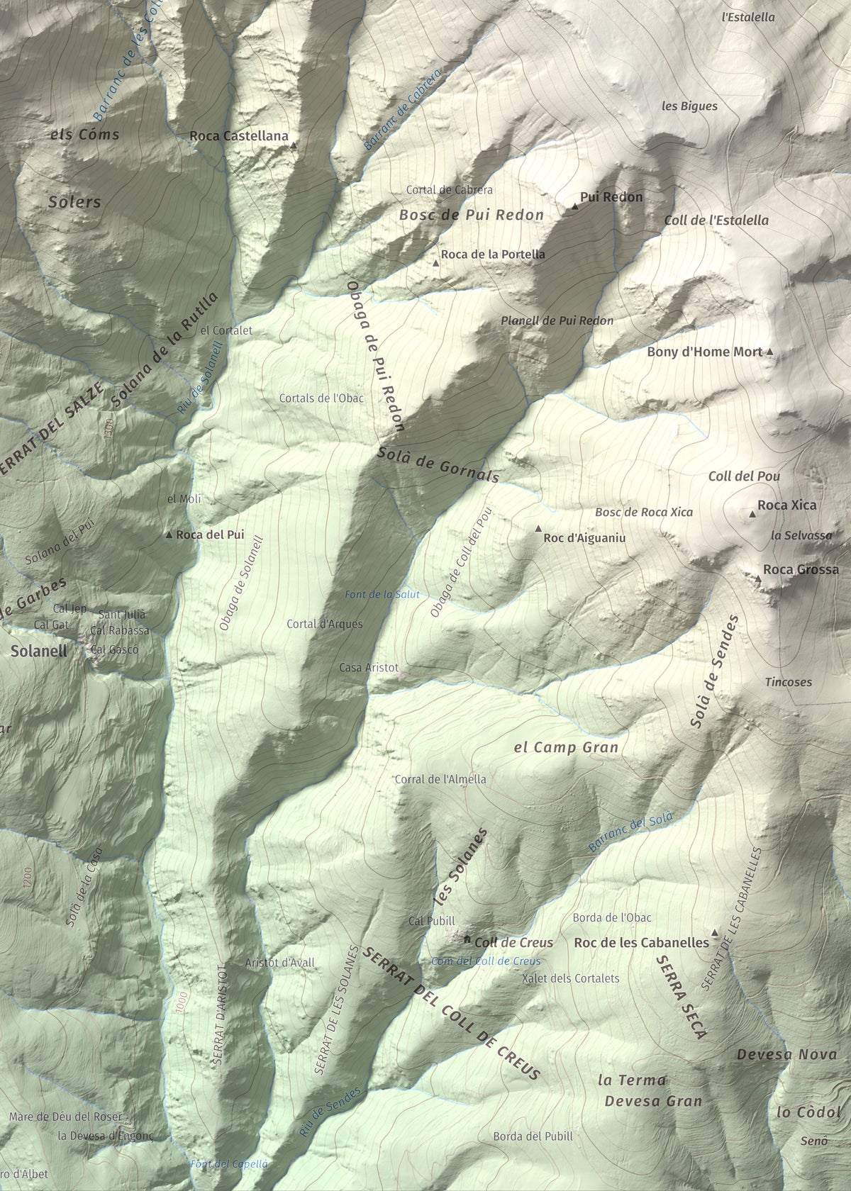 Mapa de relieve de Roc Roi, 2020 m, Alt Urgell, lámina 100 Cims de Trobart. Detalle de la zona inferior derecha. 50 × 70 cm.