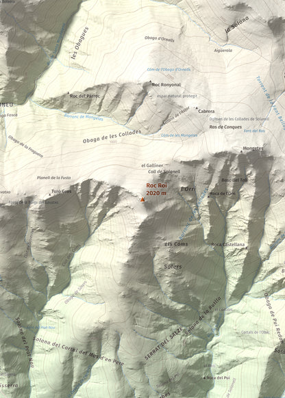Mapa de relieve de Roc Roi, 2020 m, Alt Urgell, lámina 100 Cims de Trobart. Detalle de la zona central. 50 × 70 cm.
