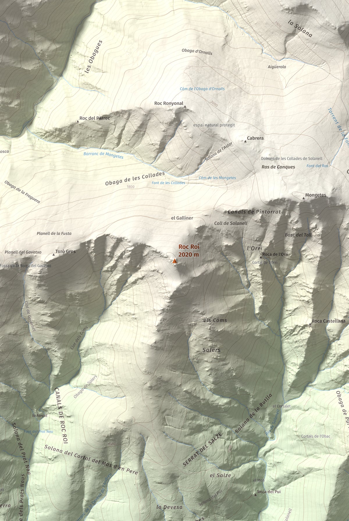 Mapa de relieve de Roc Roi, 2020 m, Alt Urgell, lámina 100 Cims de Trobart. Detalle de la zona central. 61 × 91 cm.