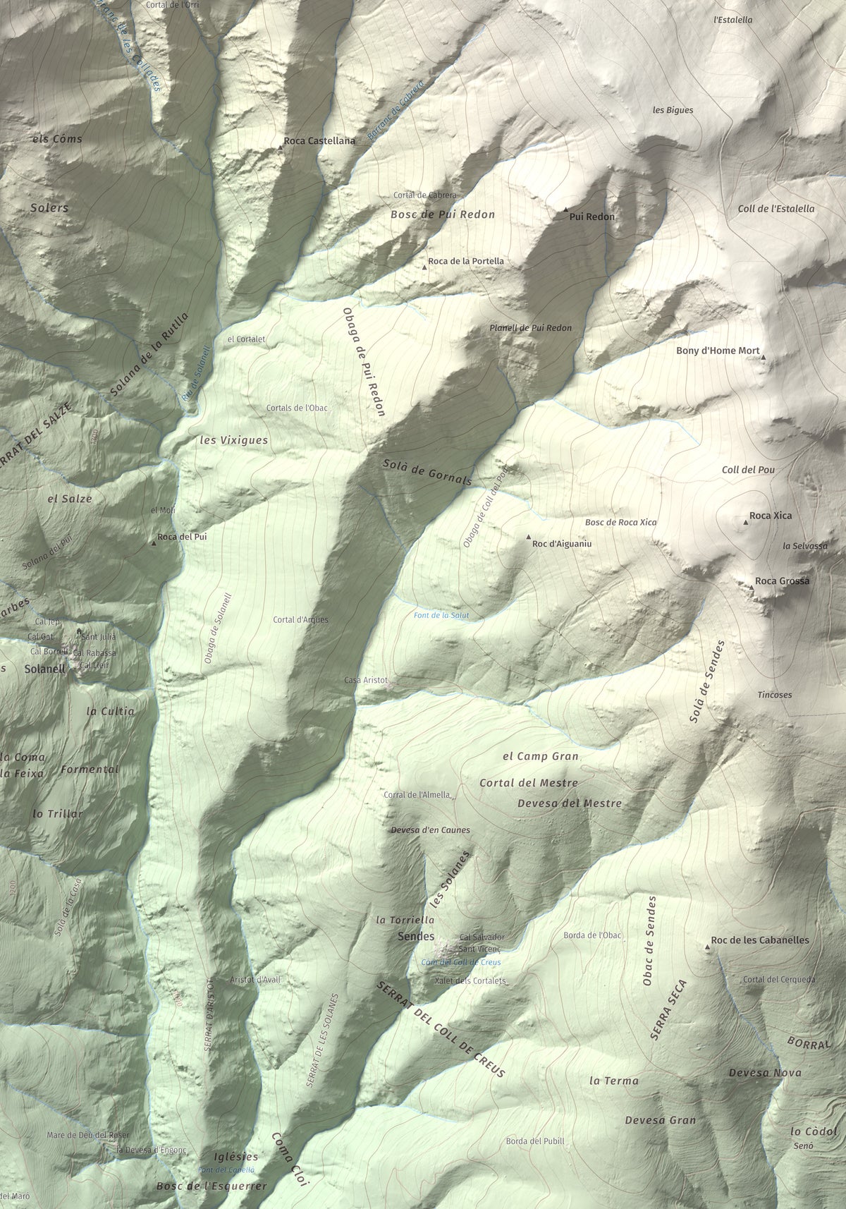 Mapa de relieve de Roc Roi, 2020 m, Alt Urgell, lámina 100 Cims de Trobart. Detalle de la zona inferior derecha. 70 × 100 cm.