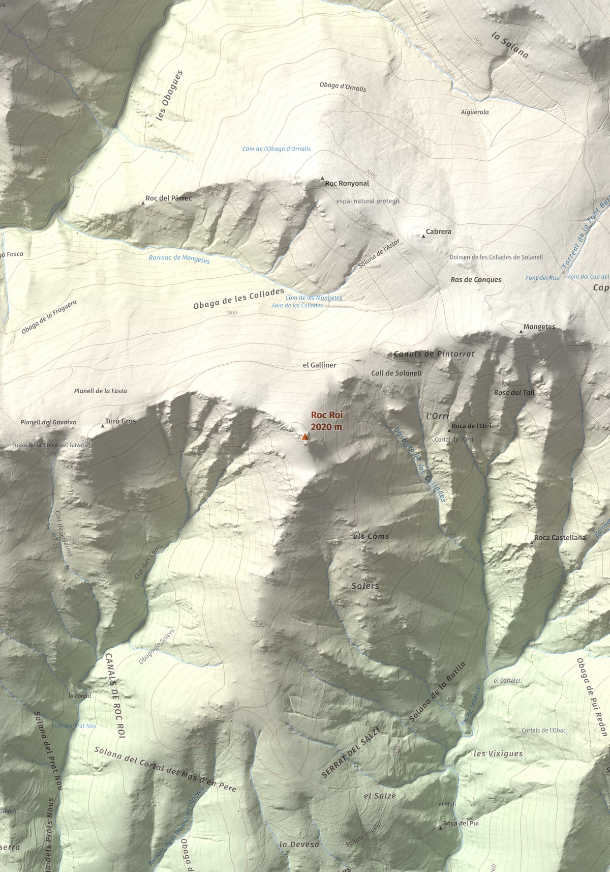 Mapa de relieve de Roc Roi, 2020 m, Alt Urgell, lámina 100 Cims de Trobart. Detalle de la zona central. 70 × 100 cm.