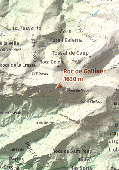 Mapa de relieve de Roc de Galliner, 1630 m, Alt Urgell, lámina 100 Cims de Trobart. Detalle de la zona central. 21 × 30 cm.