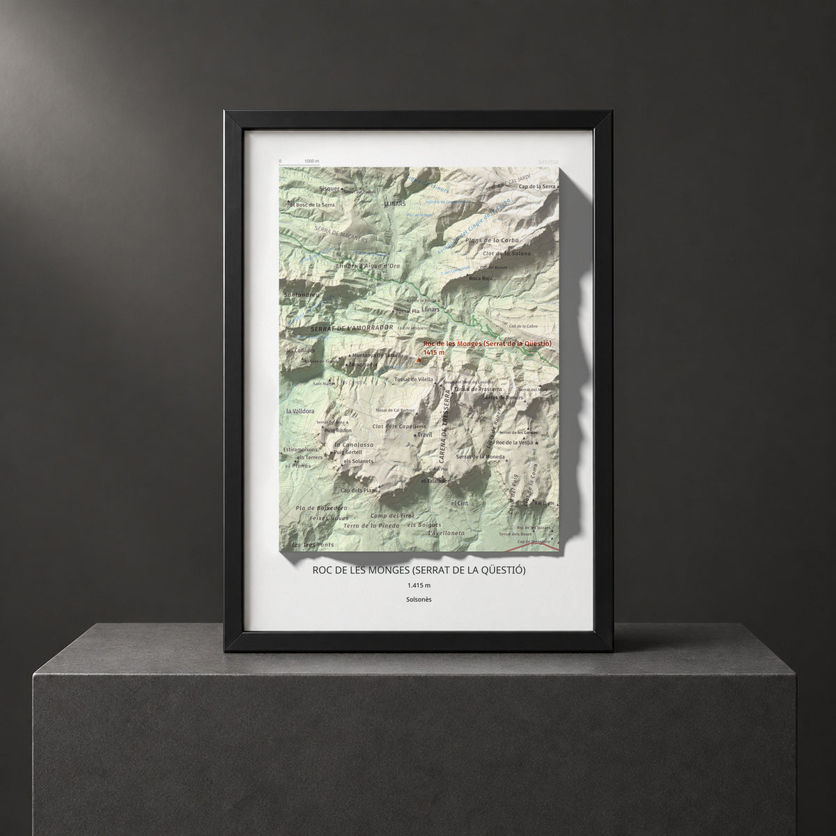 ROC DE LES MONGES (SERRAT DE LA QÜESTIÓ) - 248/522 - Colección artística 100 cims