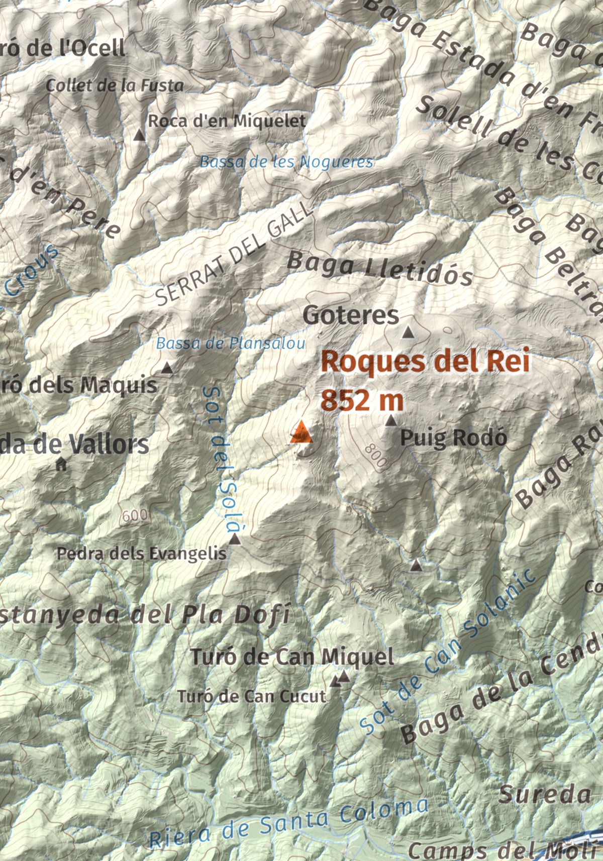 Mapa de relieve de Roques del Rei, 852 m, Selva, lámina 100 Cims de Trobart. Detalle de la zona central. 21 × 30 cm.