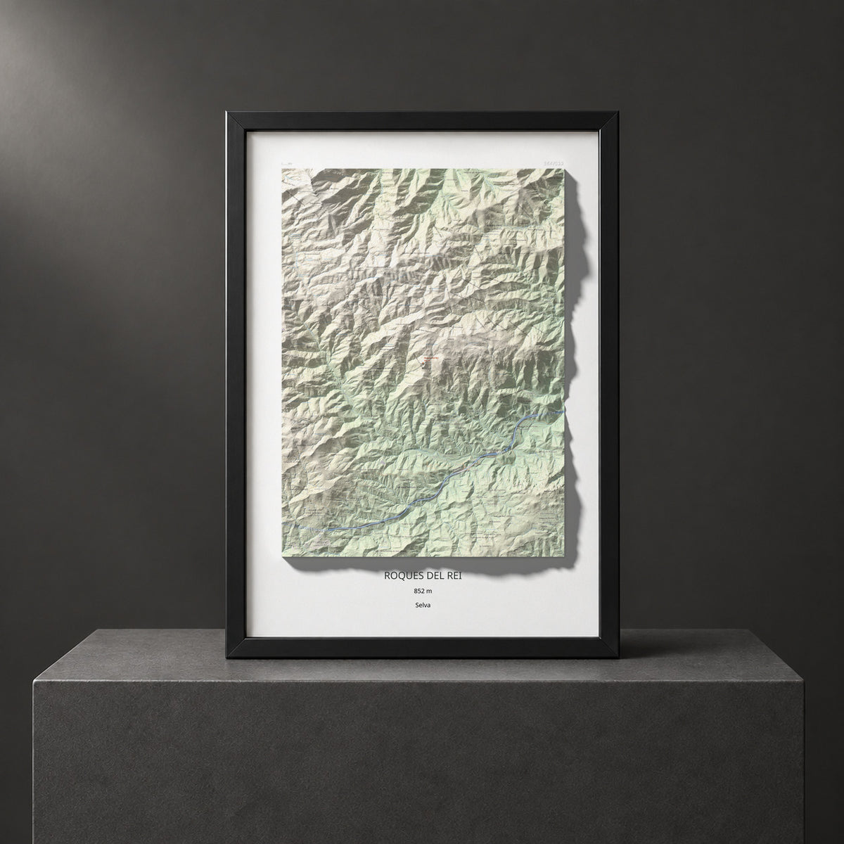 Mapa de relieve de Roques del Rei, 852 m, Selva, lámina 100 Cims de Trobart. Presentación enmarcada. 70 × 100 cm.