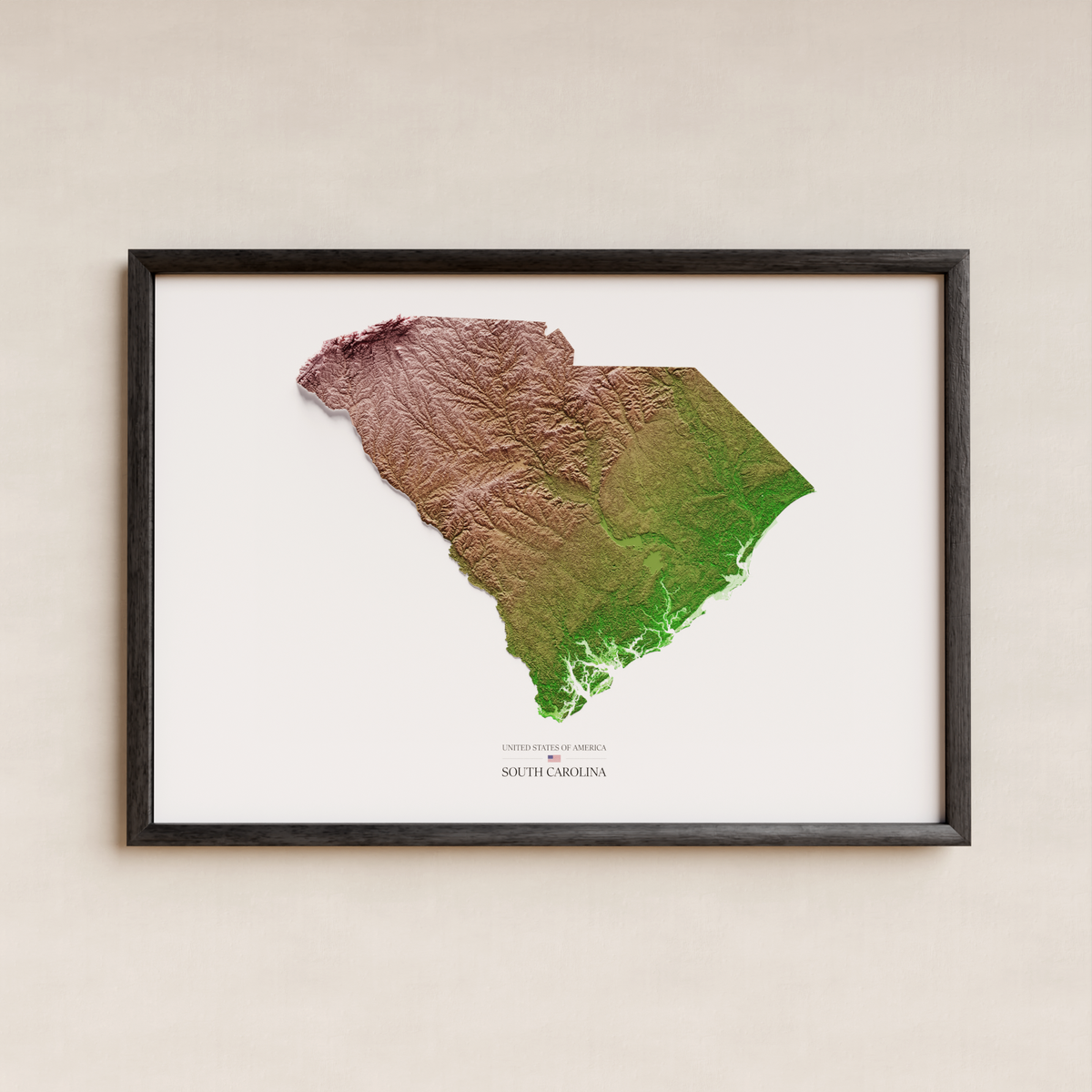 SOUTH CAROLINA. Mapa de relleu artístic / paleta clàssica